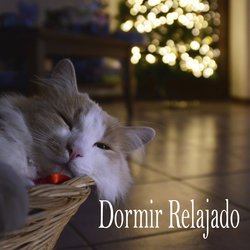 Dormir Relajado