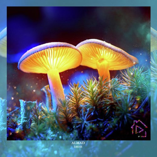Driss (Radio Edit) cover art