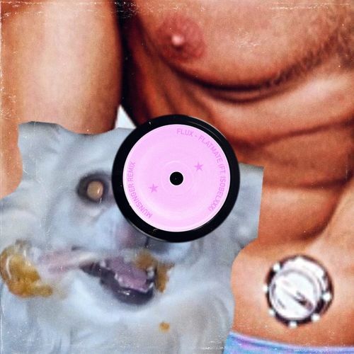 Flatmate (Munsinger Remix) cover art