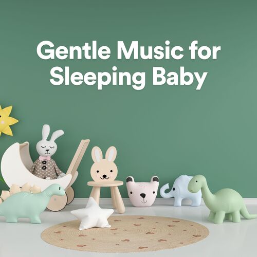 Gentle Music for Sleeping Baby_poster_image