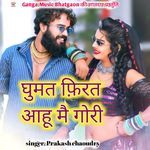 Ghumat Firat Aahu Mai Gor