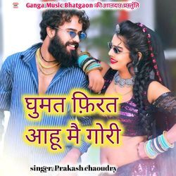 Ghumat Firat Aahu Mai Gor