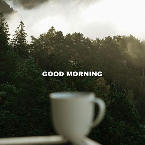 Good Morning