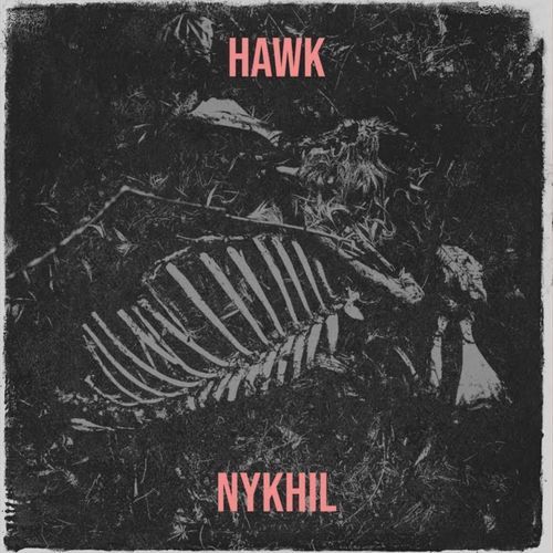 Hawk