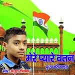 Mere Pyare Vatan (Hindi)