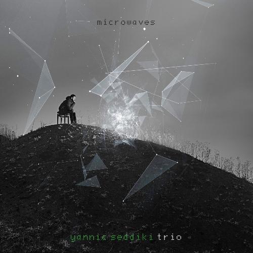 Microwaves cover art