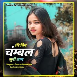 तेरे बिन चंम्बल सुनी लाग-JAoGQCdSRV4