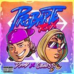 Probarte Crono 33 Dymond (Remix)
