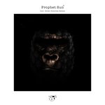 Prophet Sun