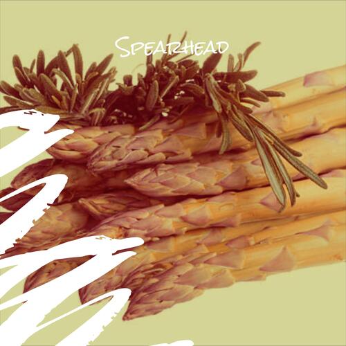 Spearhead cover art