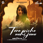 Tere Piche Nahi Jana