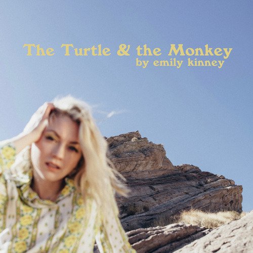 The Turtle and the Monkey_poster_image