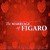 The Marriage of Figaro: Act II, Aprite, presto, aprite