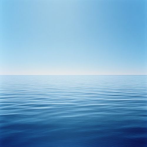 The Wealth Within (Ocean)