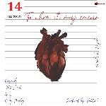 To Whom It May Concern