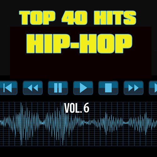 Top 40 Hits Hip Hop, Vol. 6_poster_image