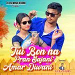 Tui Bon Na Pran Sajani Amar Diwani
