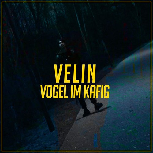 Vogel im Käfig
