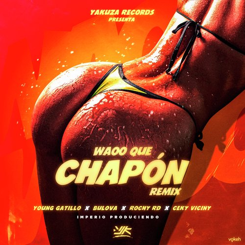 Waoo Que Chapón (Remix)