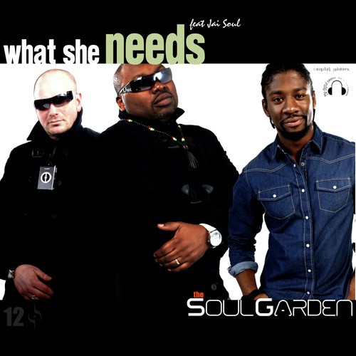 What She (Really) Needs (feat. Blak Prophetz) (Radio Version) cover art