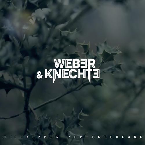 Willkommen zum Untergang cover art