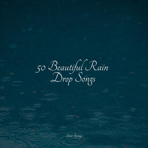 50 Beautiful Rain Drop Songs_poster_image