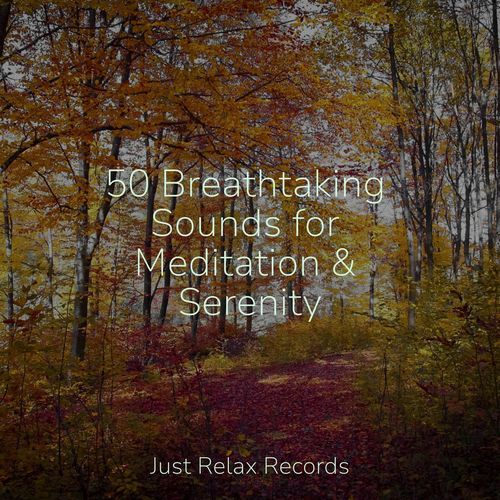 50 Breathtaking Sounds for Meditation & Serenity_poster_image