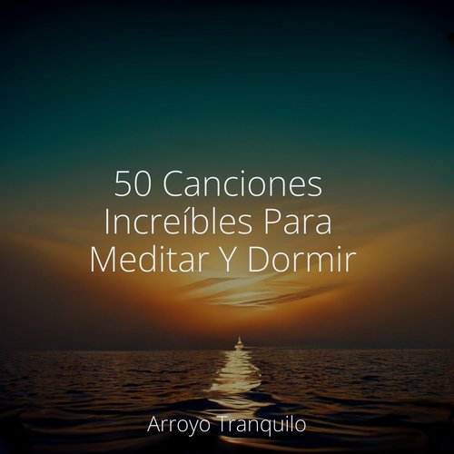 Serenidad Bañada Por El Sol cover art