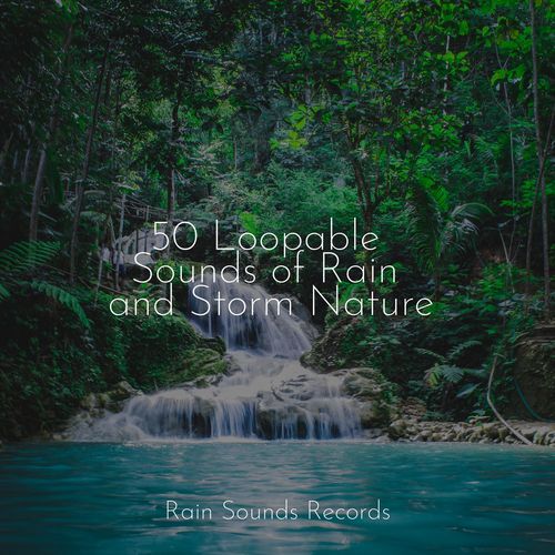 50 Loopable Sounds of Rain and Storm Nature