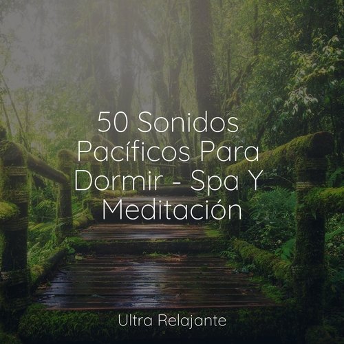 50 Sonidos Pacíficos Para Dormir - Spa Y Meditación_poster_image