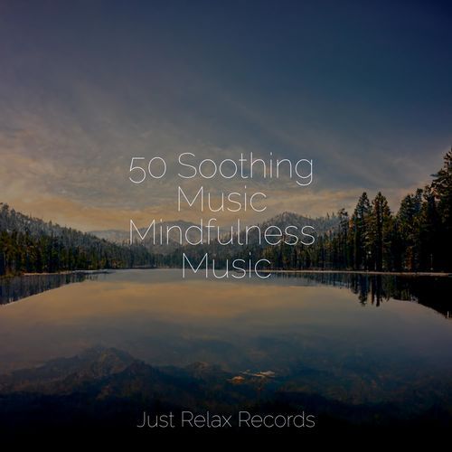 50 Soothing Music Mindfulness Music_poster_image