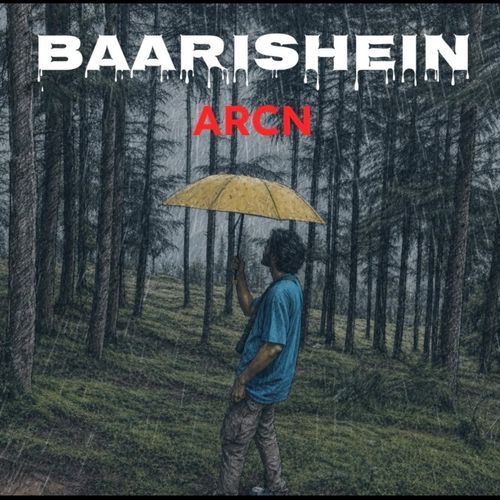 Baarishein