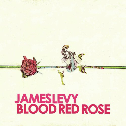 Blood Red Rose_poster_image