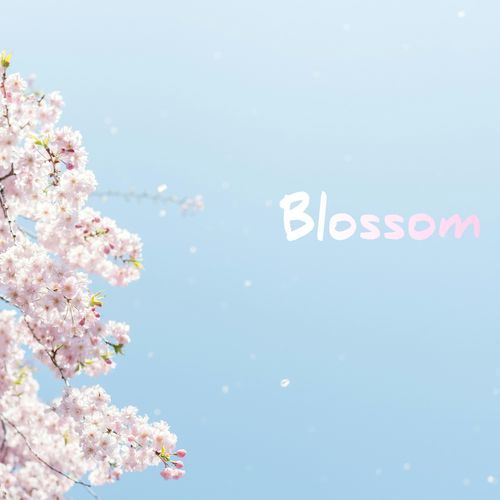 Blossom