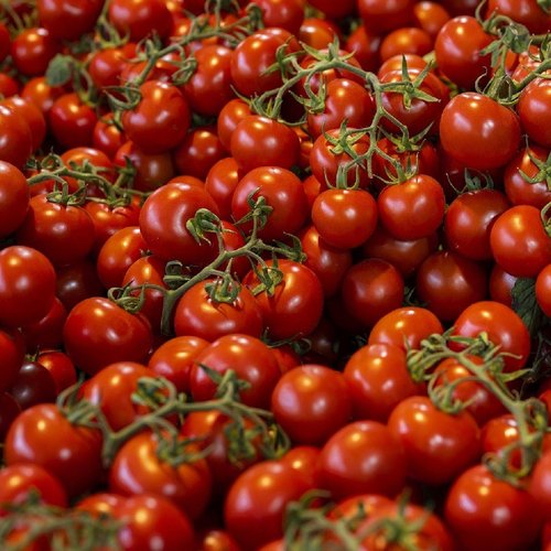 Bronx Pomodoro