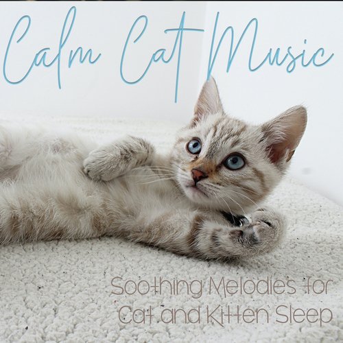 Cat Sleep Music