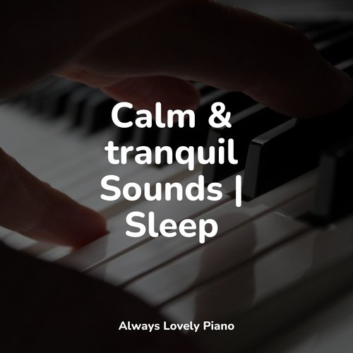 Calm & tranquil Sounds | Sleep