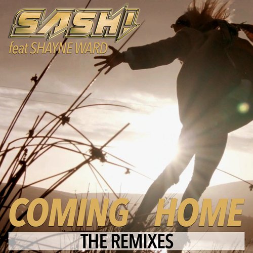 Coming Home (The Remixes)_poster_image