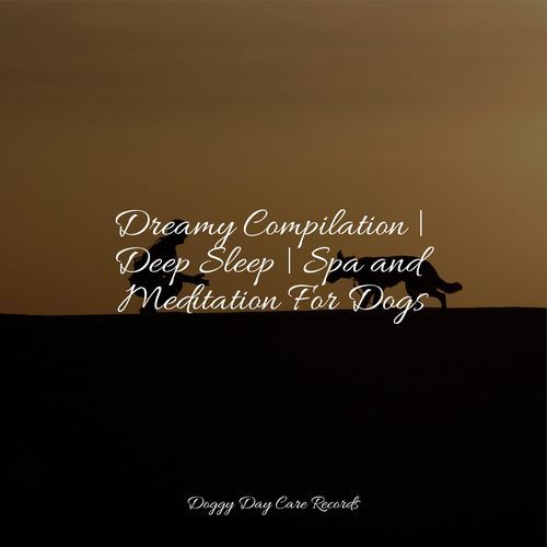 Dreamy Compilation | Deep Sleep | Spa and Meditation For Dogs_poster_image