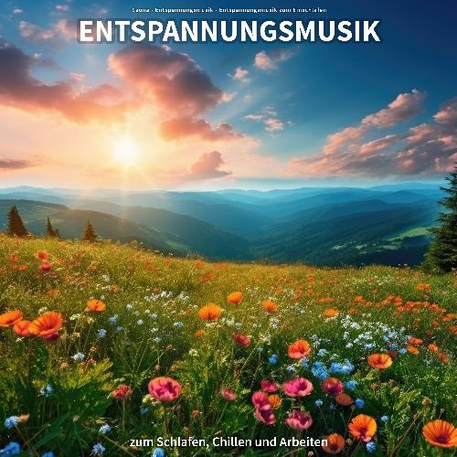 Entspannungsmusik zum Schlafen, Chillen und Arbeiten