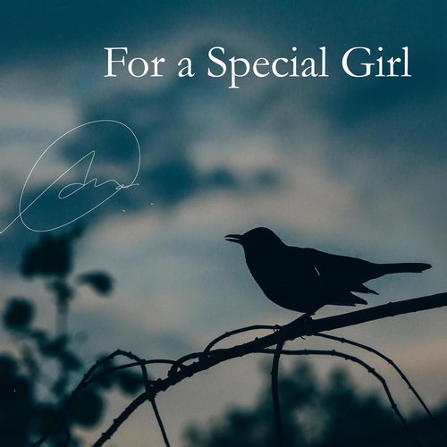 For a Special Girl