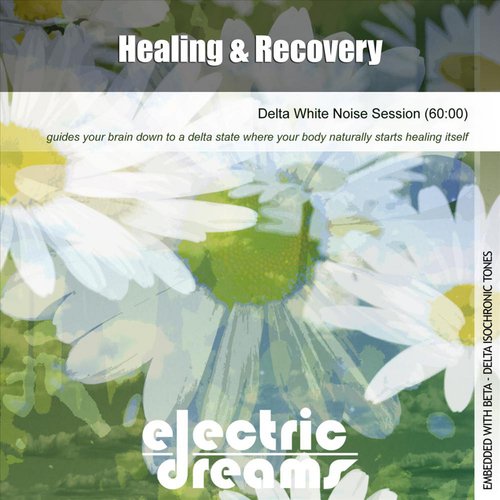 Healing and Recovery (Delta White Noise Session)