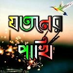 Jotoner Pakhi