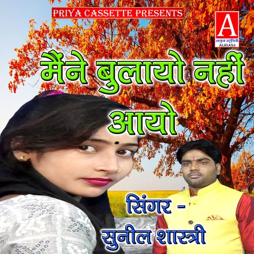 Mainne Bulayo Nahin Aayo