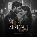 Meri Zindagi Hai Tu
