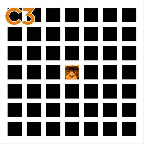 C3