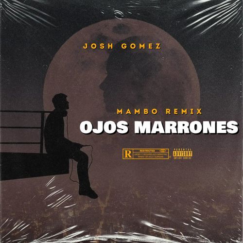 Ojos Marrones (Mambo Remix) (DJ Mix)