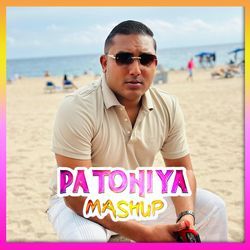 Patohiya Mashup-AT89SCxxT3Q