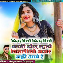 Pitliyo Pitliyo Karti Dolu Mharo Pitliyo Najar Nahin Aave Re