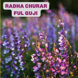 RADHA CHURAR FUL GUJI-RQsASBlFRAc